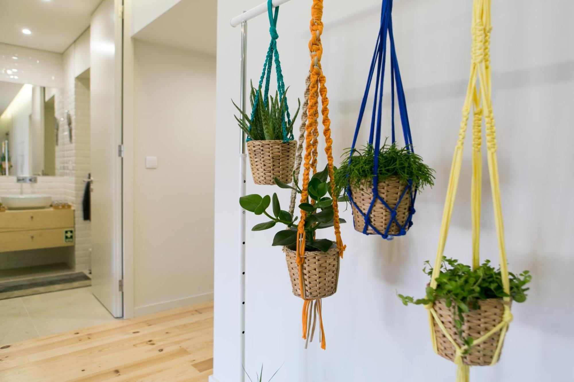 Appartement Nascente *